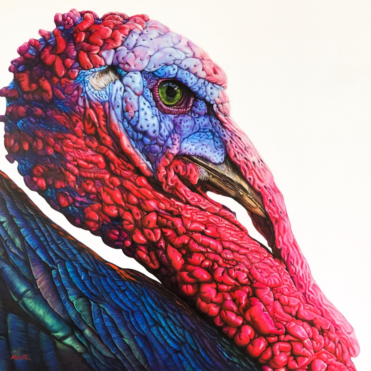 TURKEY ON WHITE, 2017 by HELMUT KOLLER 