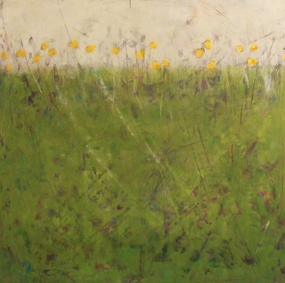 Daisy, 18x18" by Ginnie Cappaert 