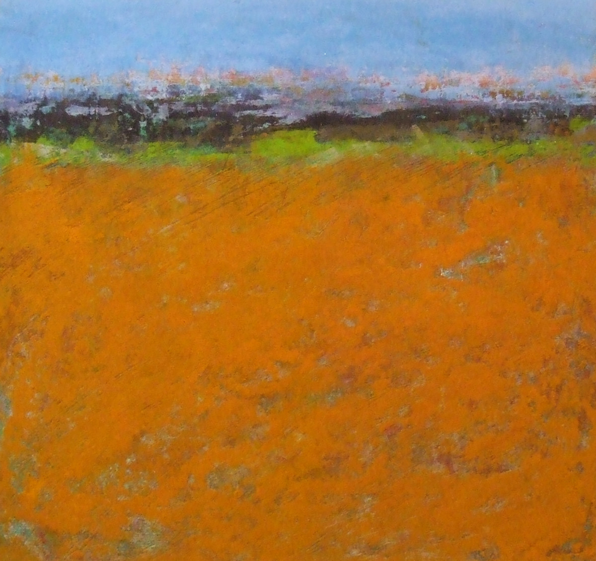 Morning, 18x18" by Ginnie Cappaert 