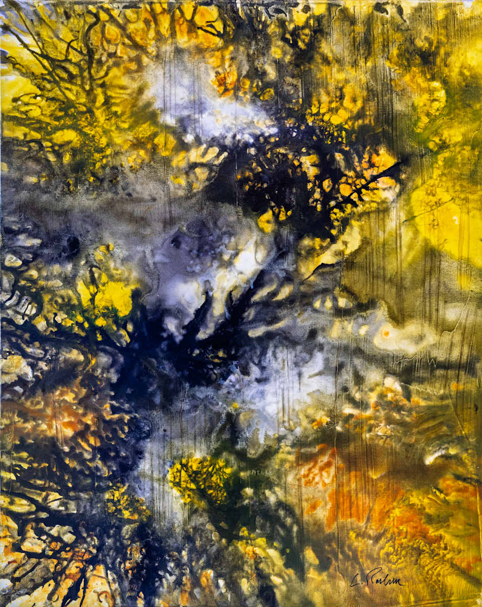 Shadowlight by louie . rochon . fine . art 