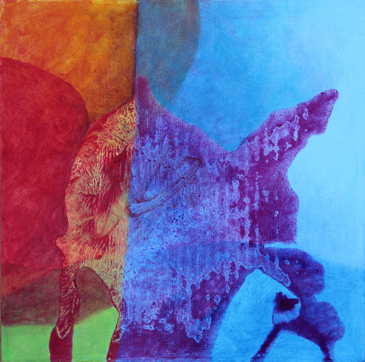 Close Up by Sheryl Tempchin, Image 1.