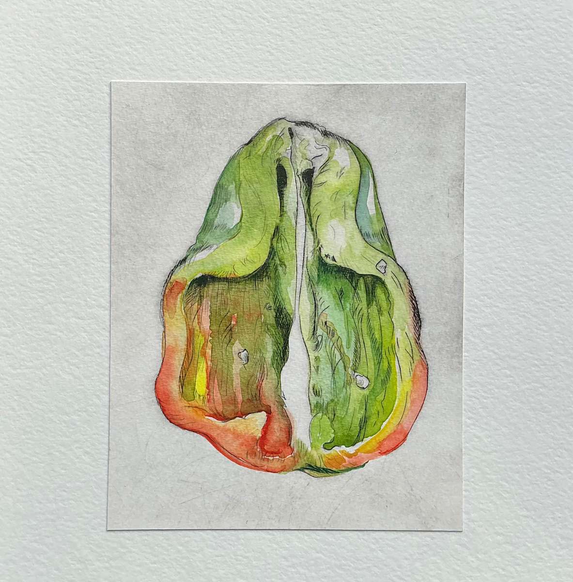 Pepper by Jessica Arends 