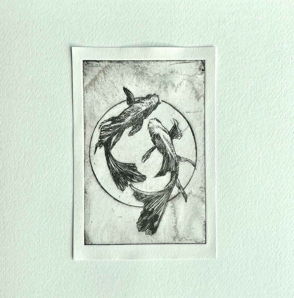 Fish at Play by Jessica Arends 