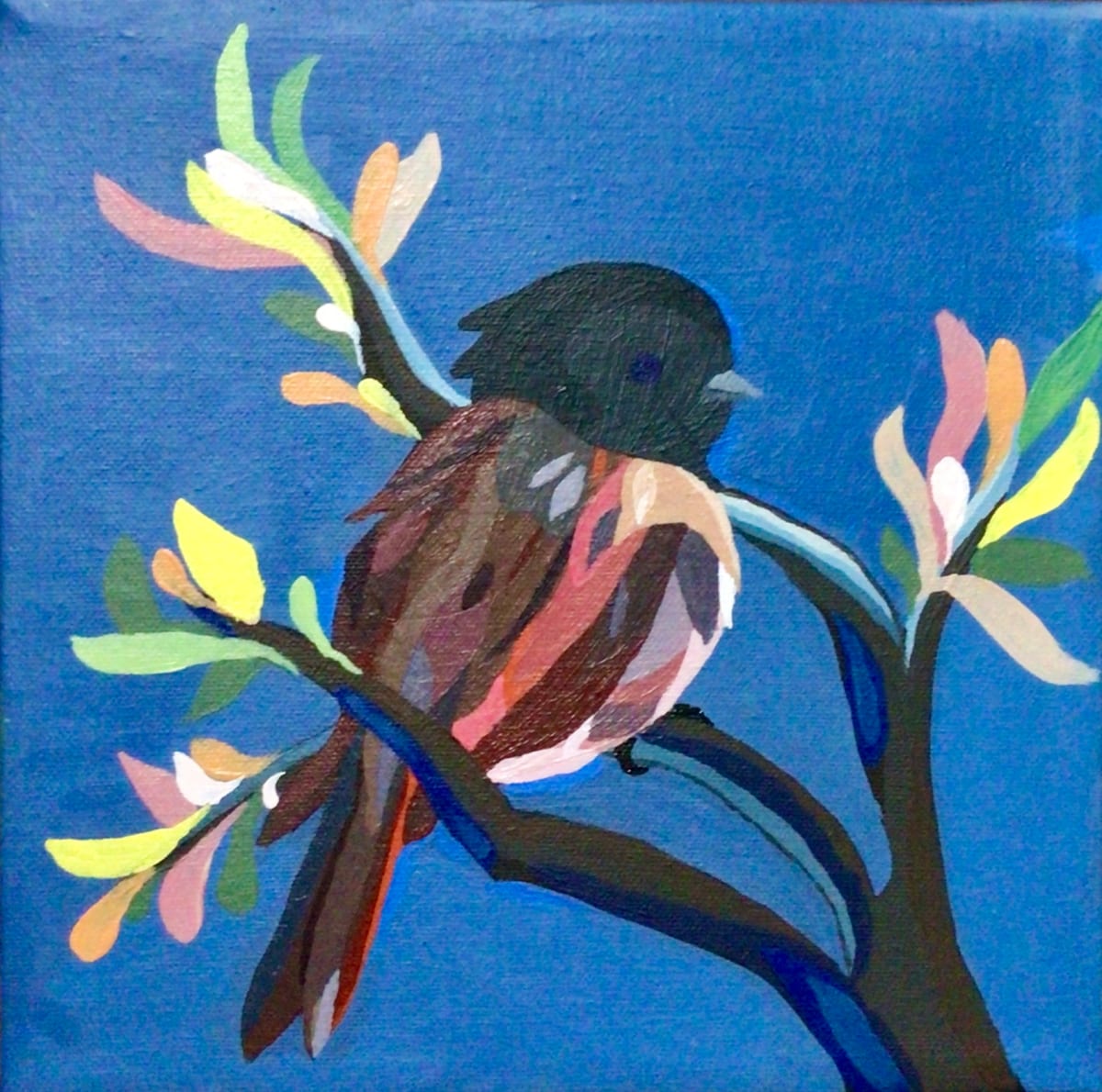 The Bird by Sheena Ashun 