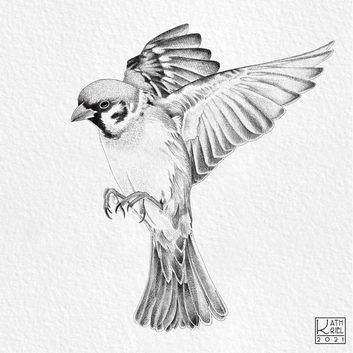 Sparrow by Kathriel Brister 