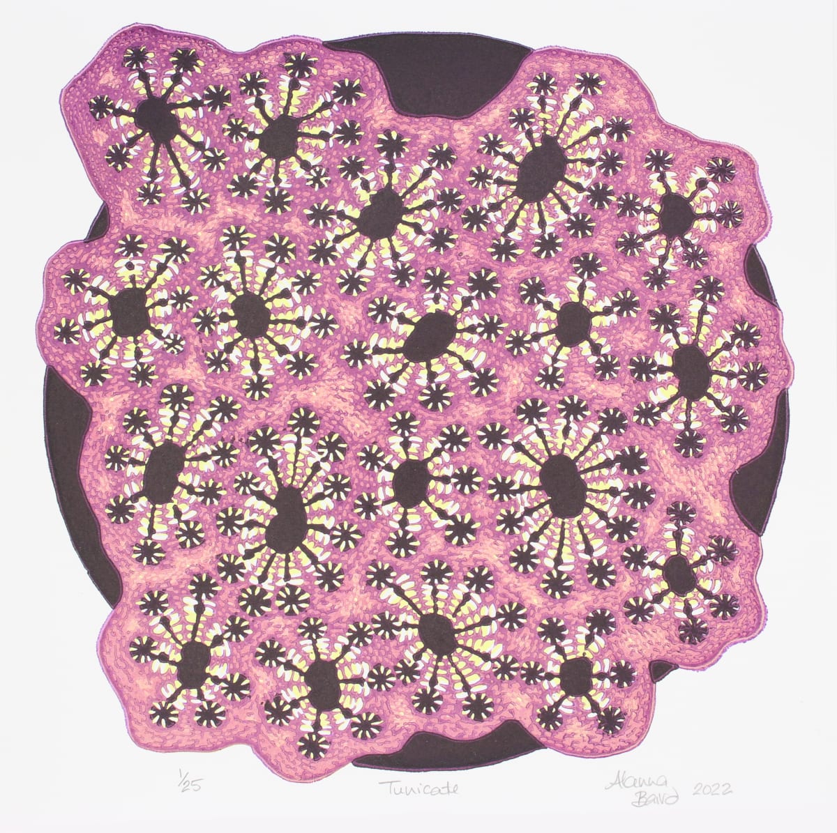 Tunicate by Alanna Baird 