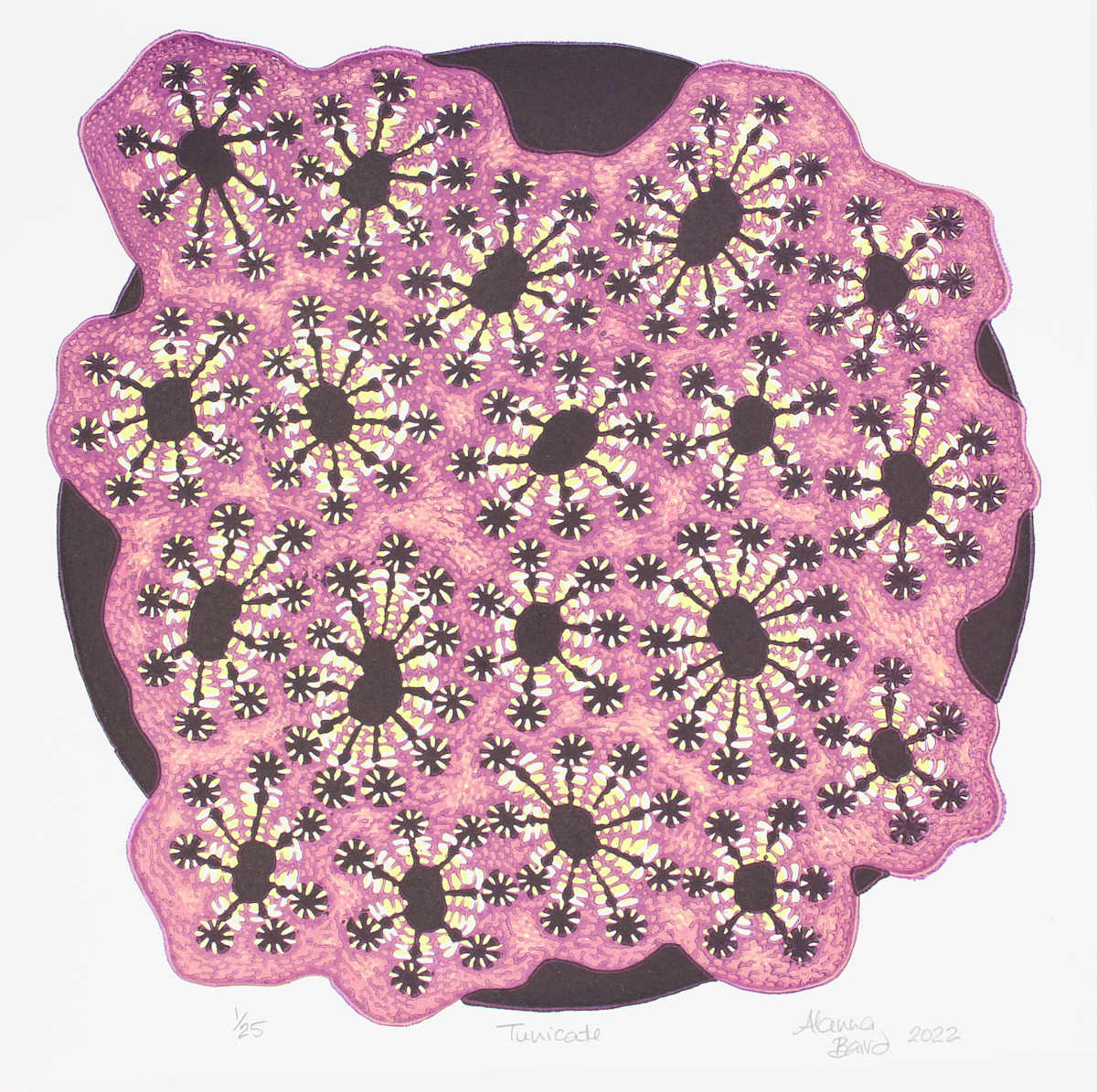 Tunicate by Alanna Baird, Image 8.
