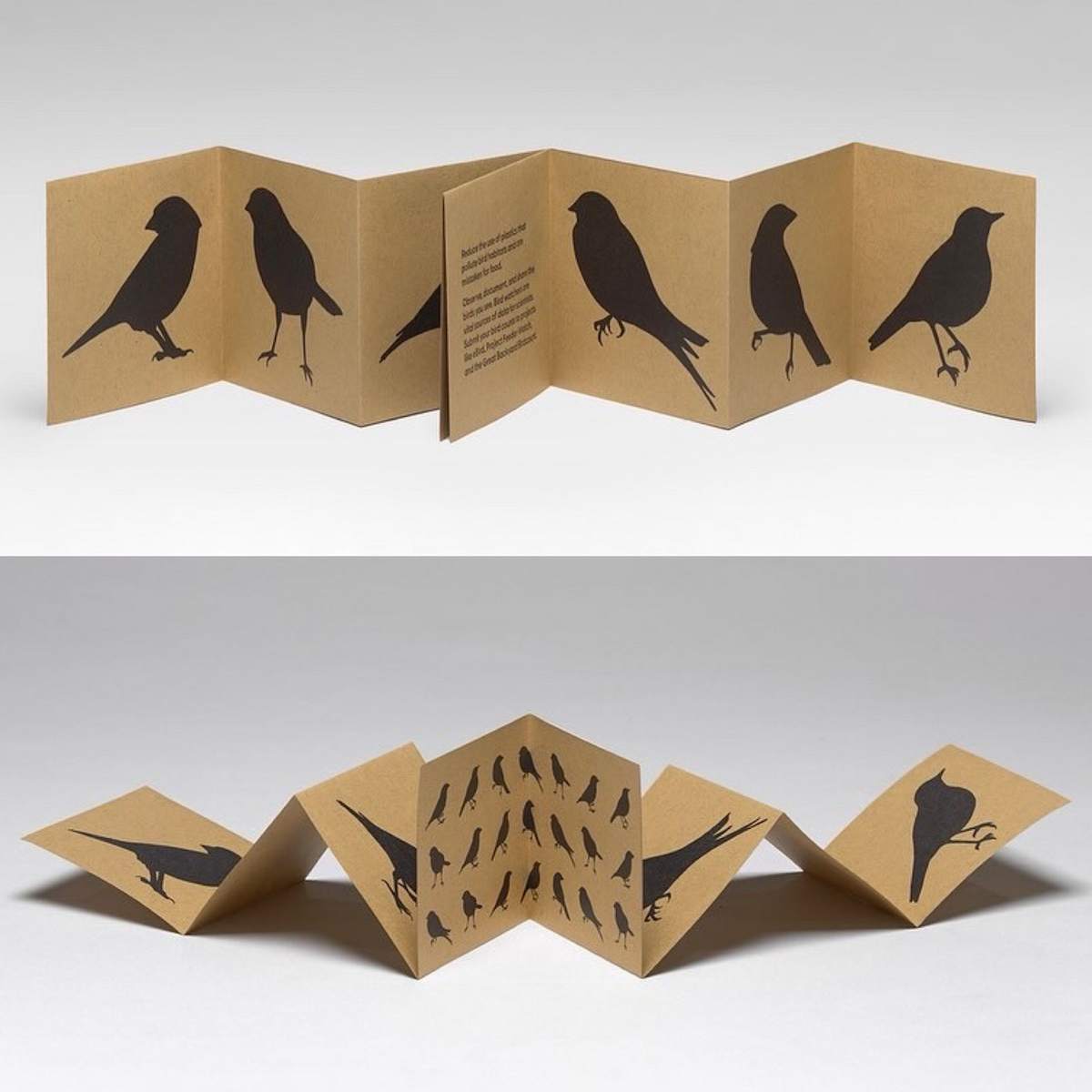 Bring Birds Back by Valerie Carrigan 