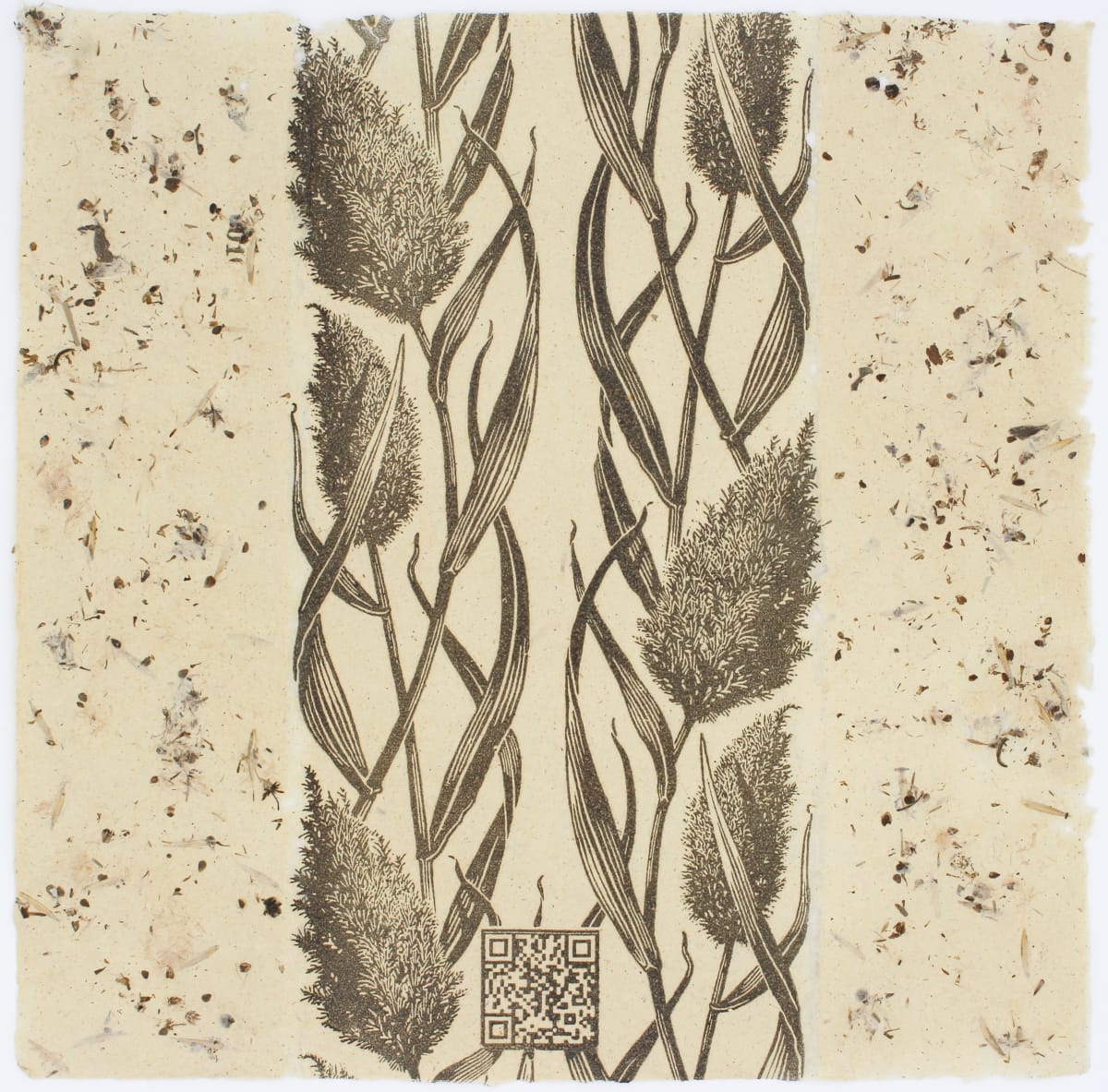 Ark by Patterson Clark 