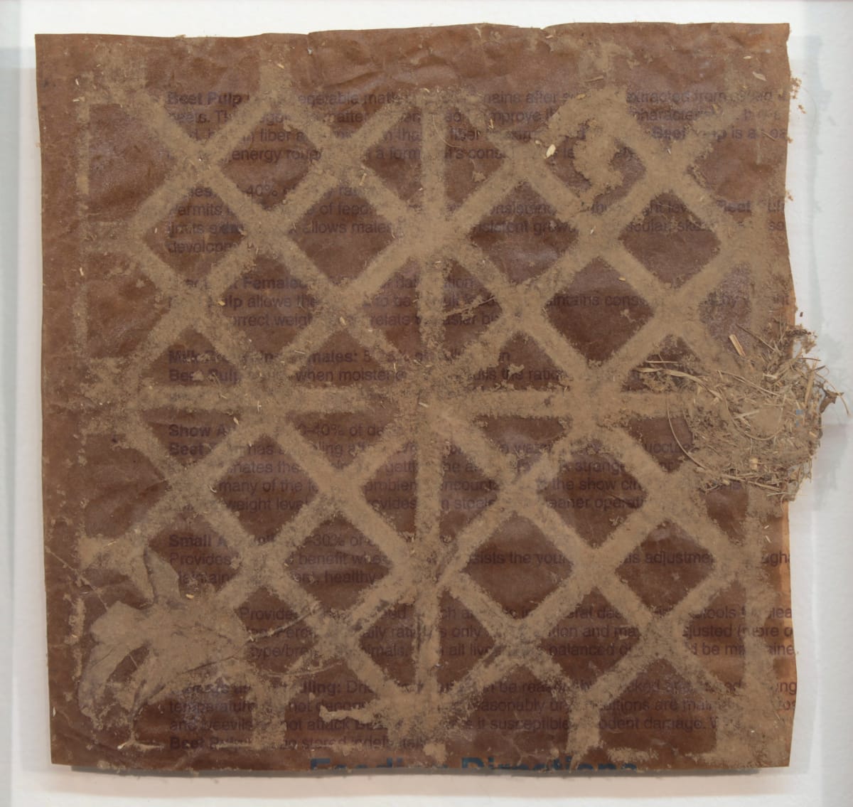 Dust Print I by Arden Cone, Image 1.