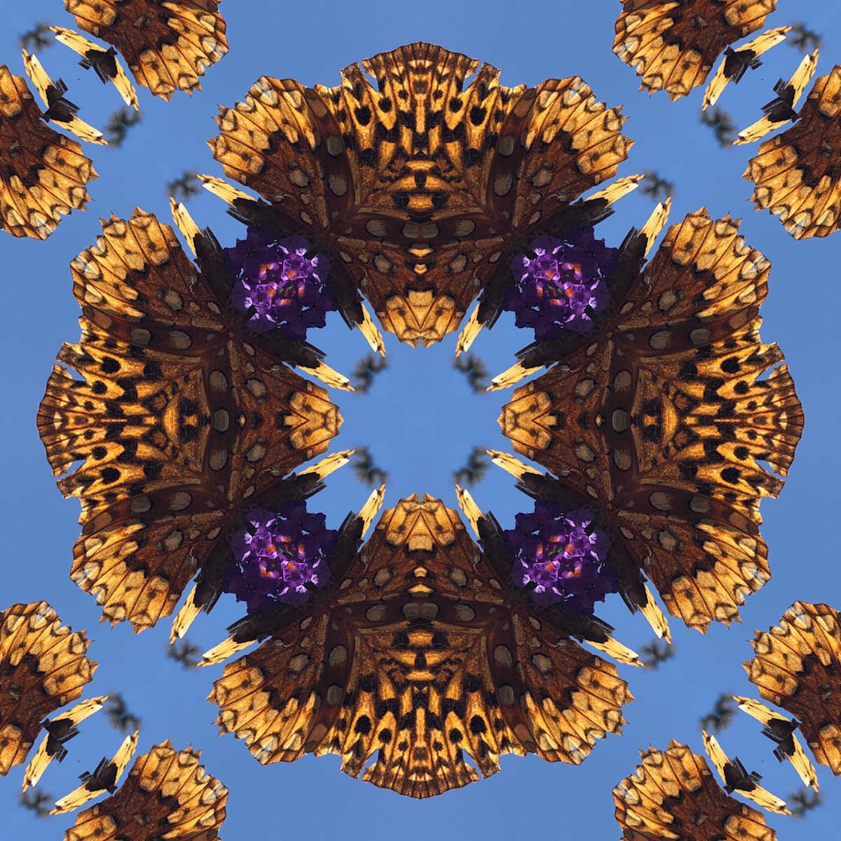 Flutterby by Denise Wamaling, Image 1.
