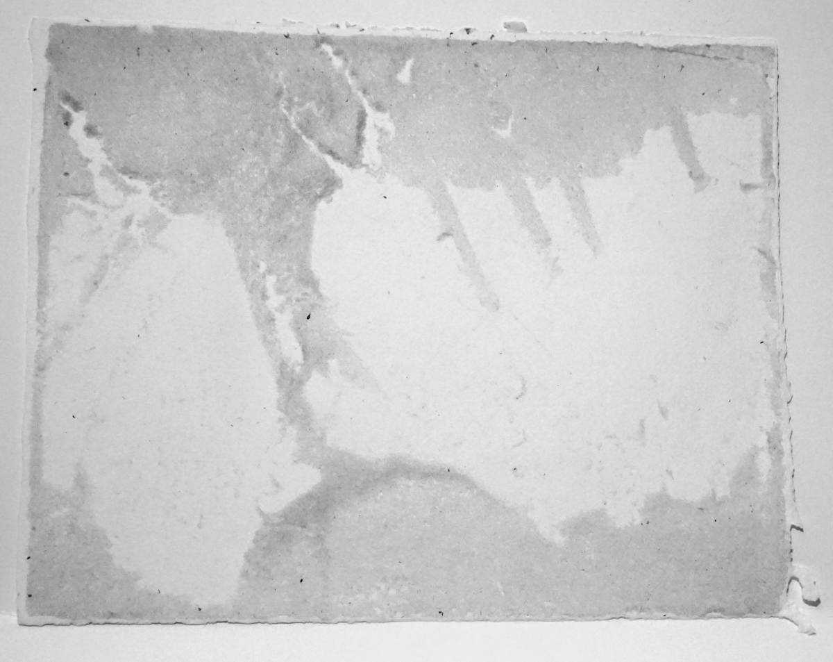 Melt by Stephanie Damoff, Image 1.