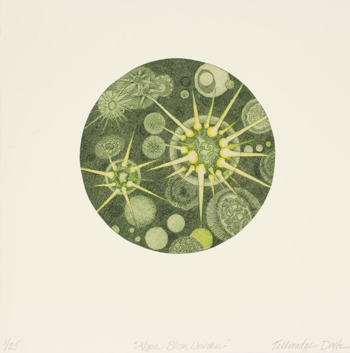 Algae Bloom Universe by Tallmadge Doyle 
