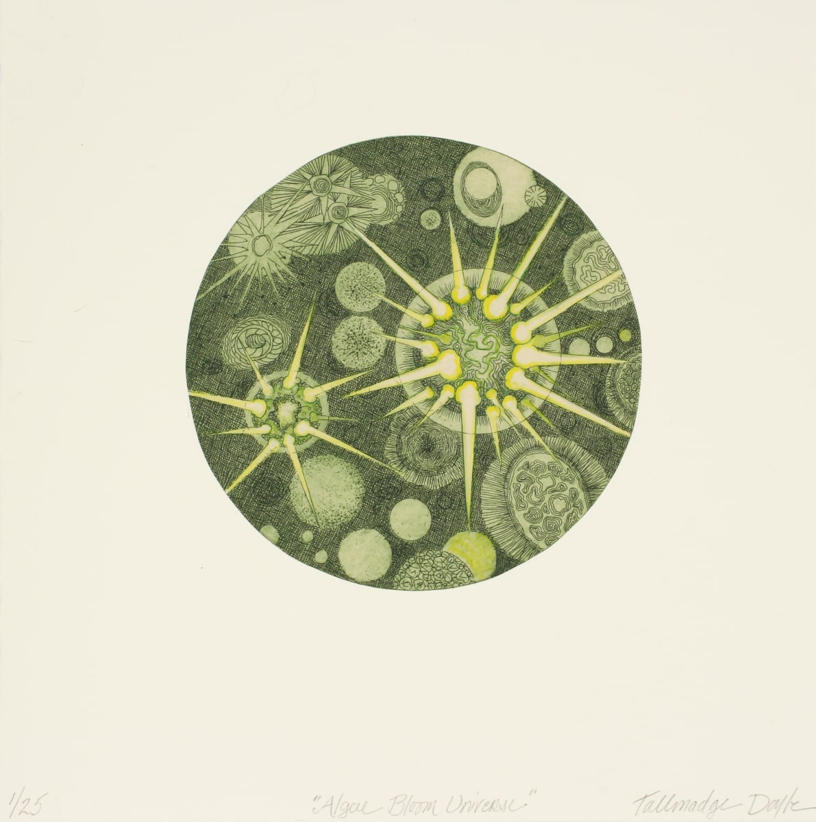 Algae Bloom Universe by Tallmadge Doyle, Image 7.