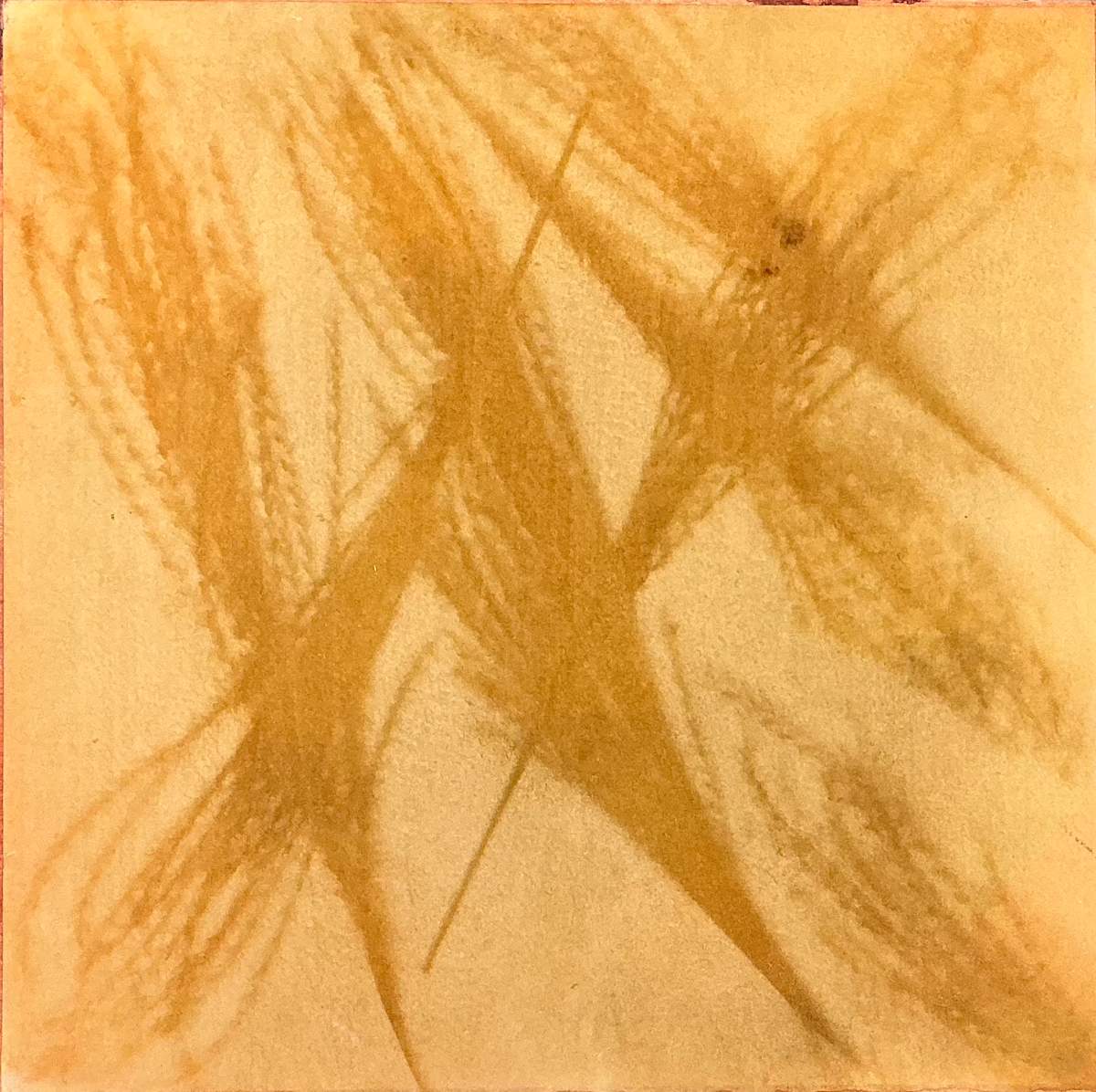 Delightful Grasses by Judy Folkenberg 