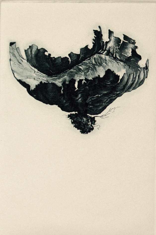 Mushroom I by Jenny Freestone 