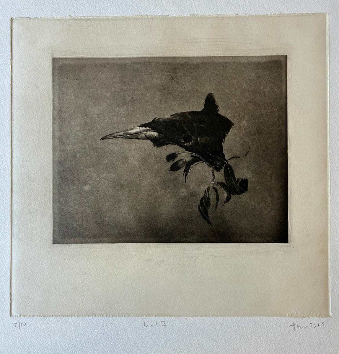 Bird II by Jenny Freestone 