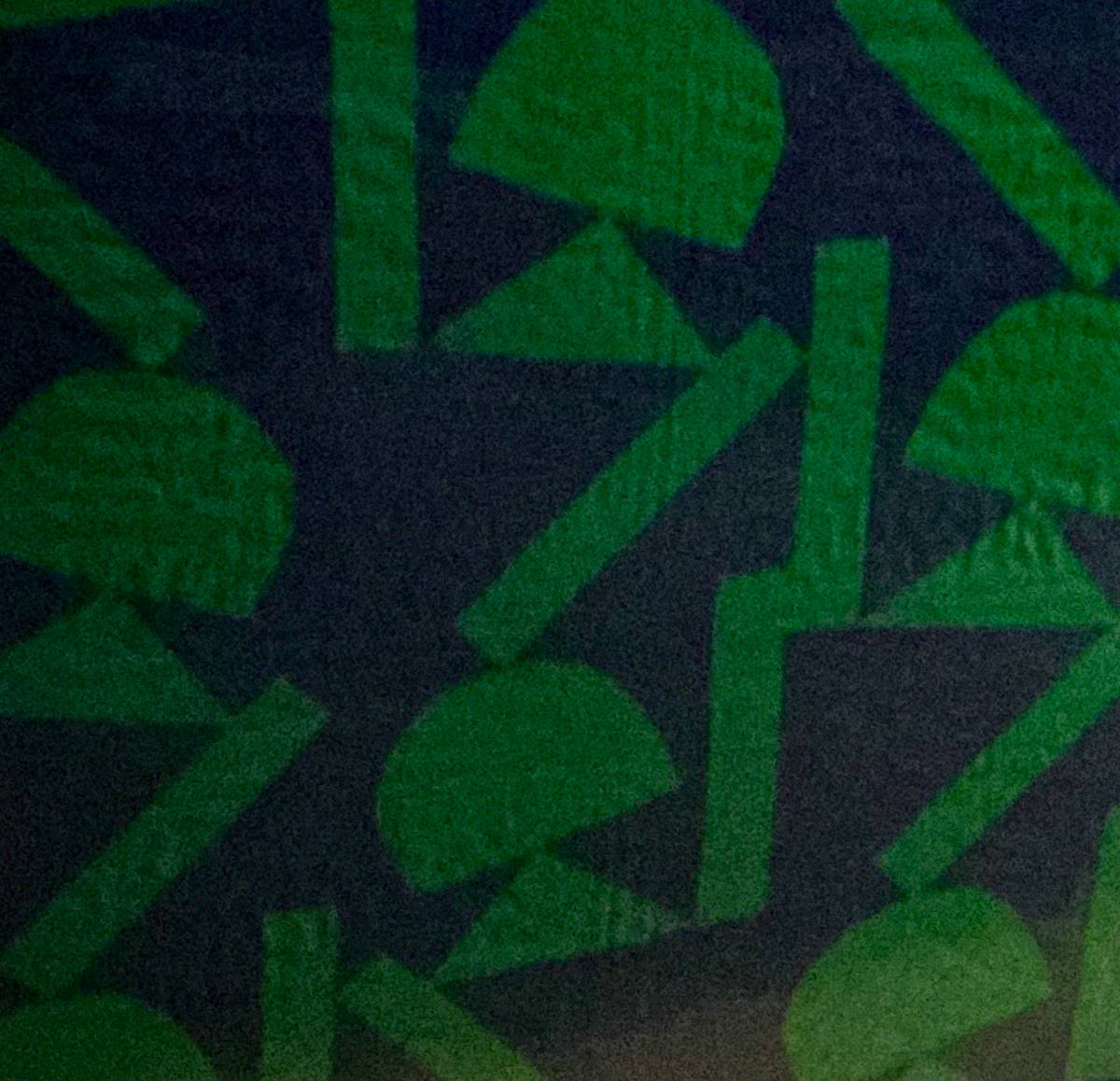 Scarf - Green by Hadiya Williams 