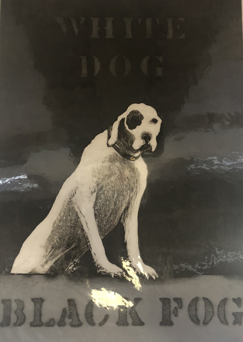 Dog in the Fog by William Dunlap 