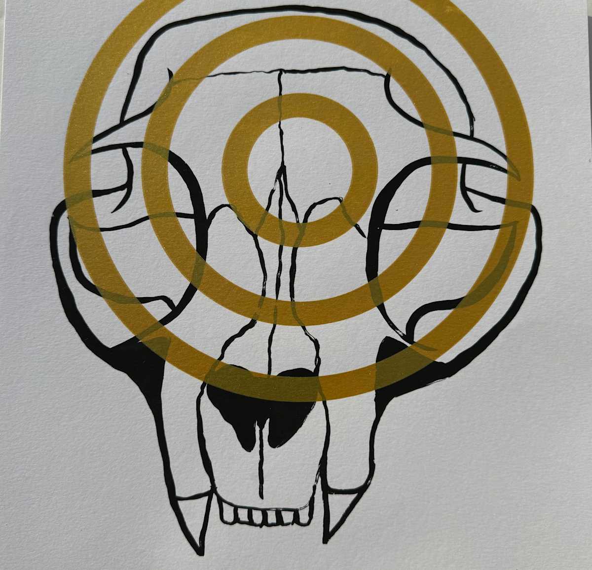 Cat by Chelsae Blackman 