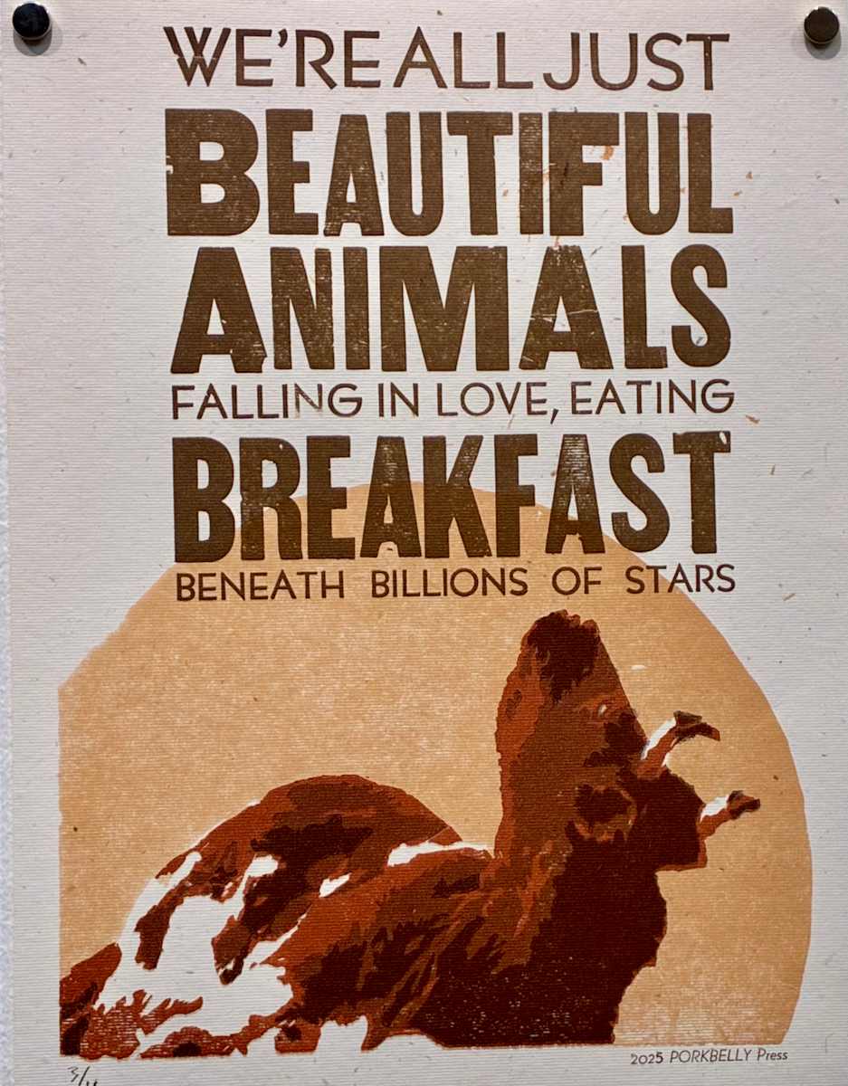 Beautiful Animals by Jason Rigg, Image 2.