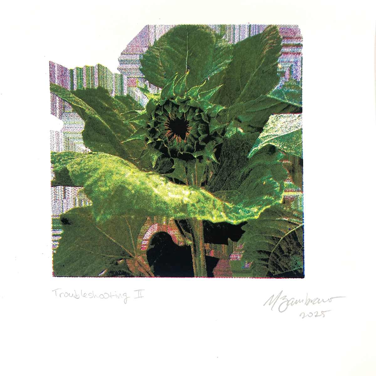 Troubleshooting II by Némesis Zambrano 