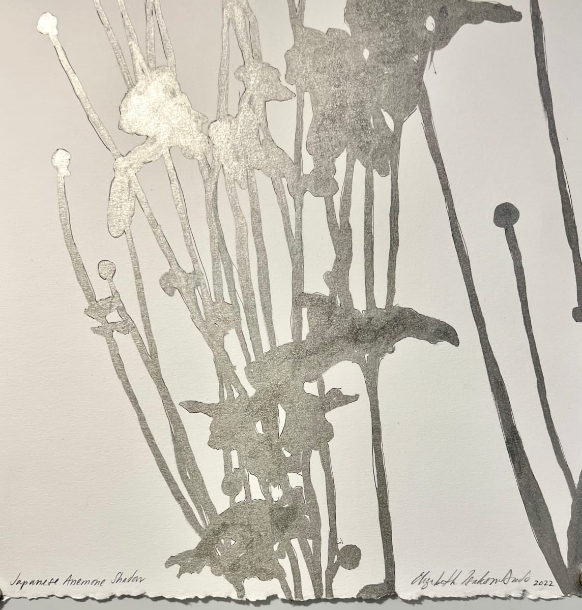 Japanese Anemone Shadow by Elizabeth Isakson-Dado 