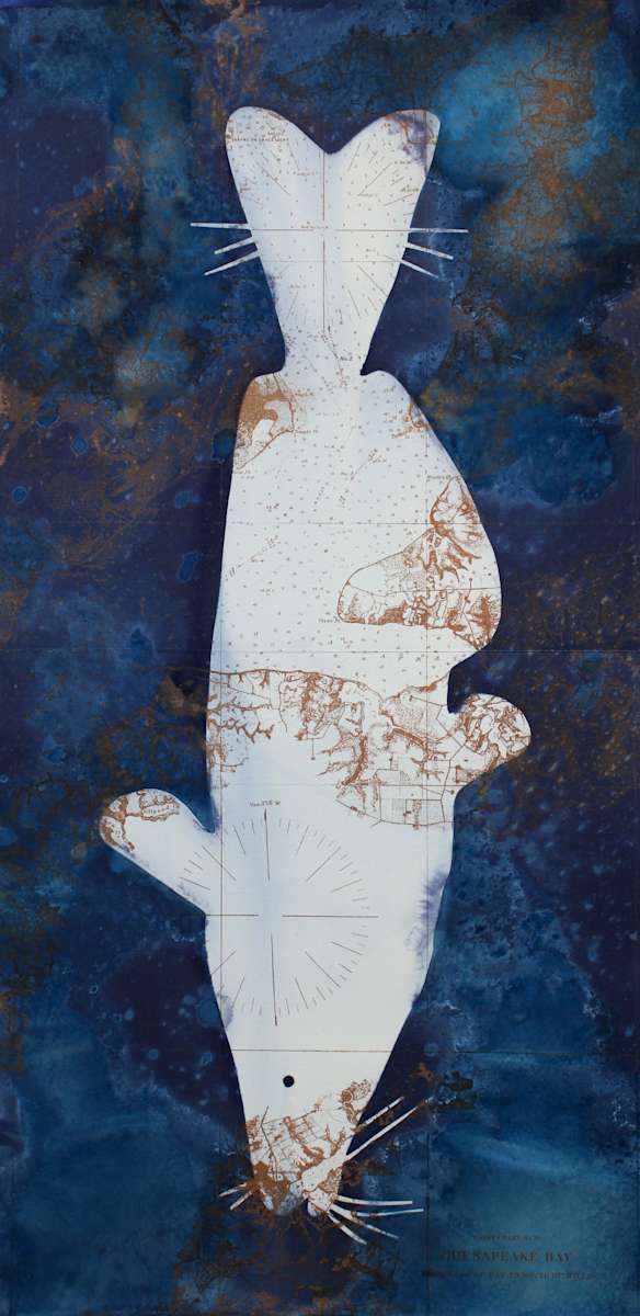 Blue Catfish by Marty Ittner, Image 13.