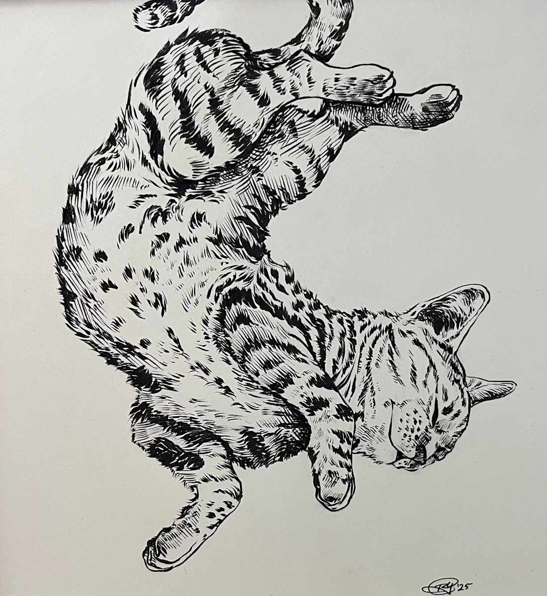 Play Time by Rebecca York 