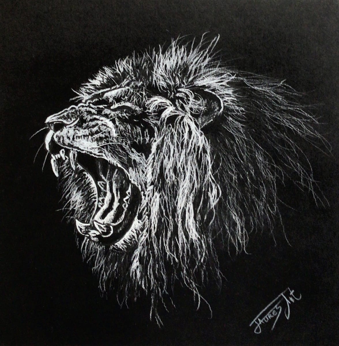 Lion by Jaurès K 
