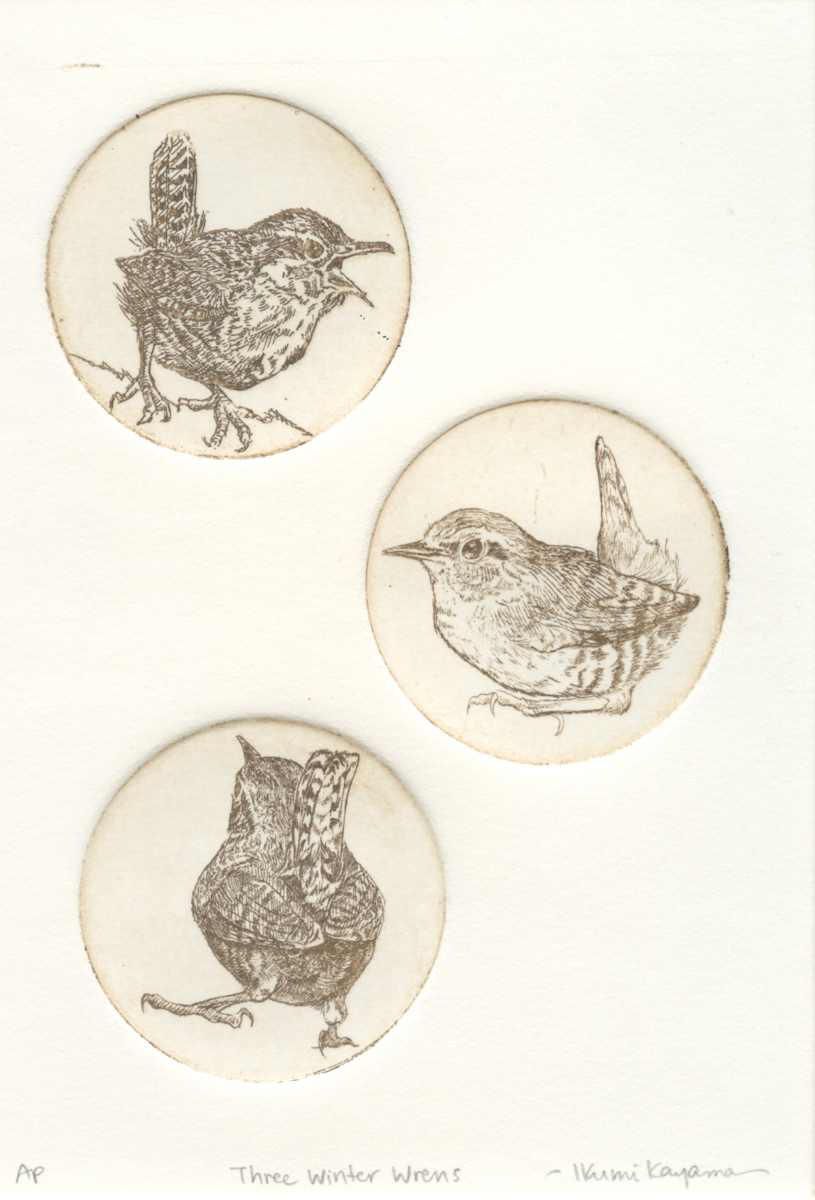 Three Winter Wrens by Ikumi Kayama 