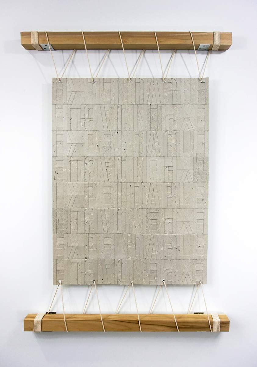 Expendable by Nilou Kazemzadeh, Image 1.