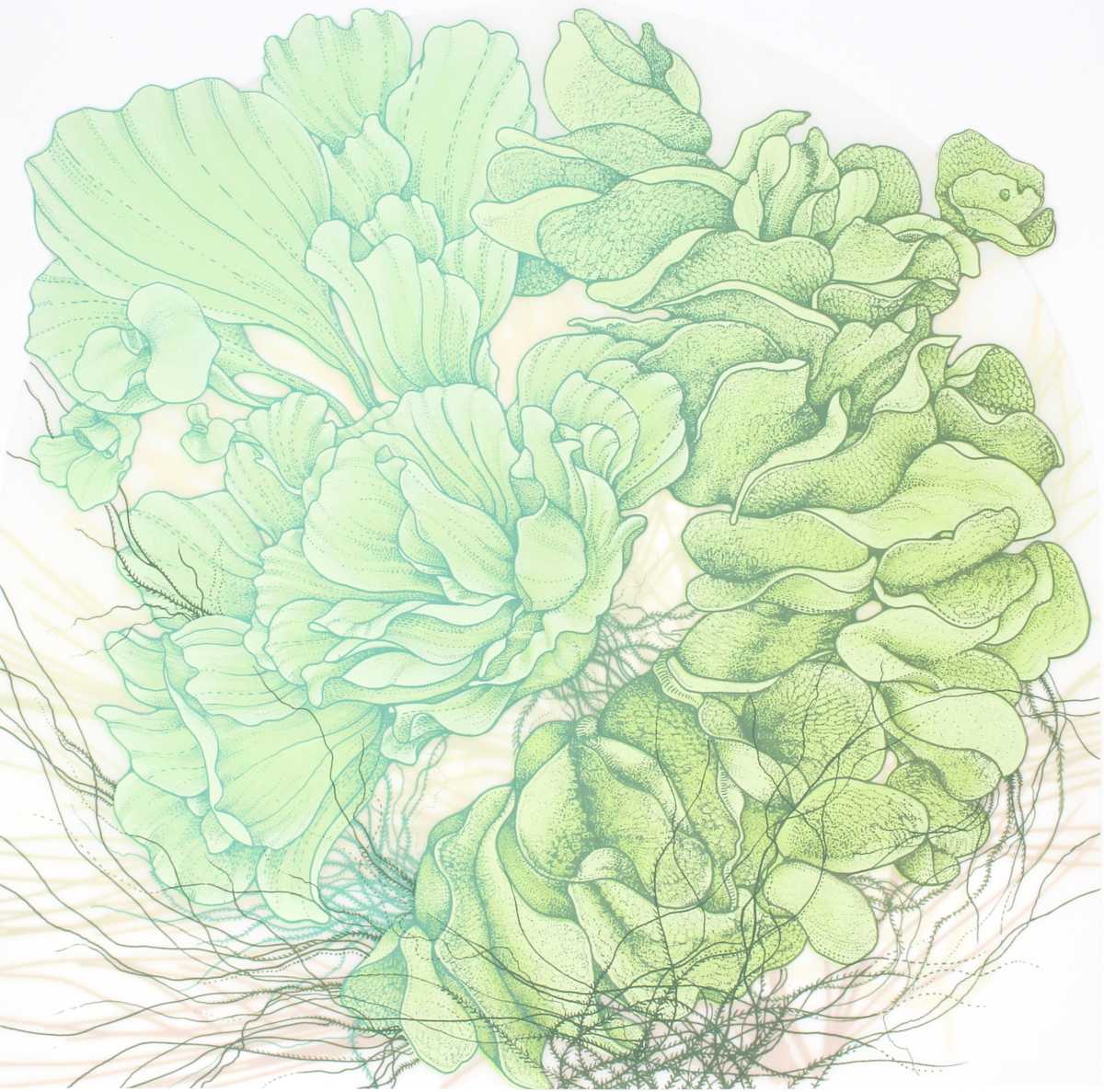 Beauty Invades by Lauren Kussro, Image 5.