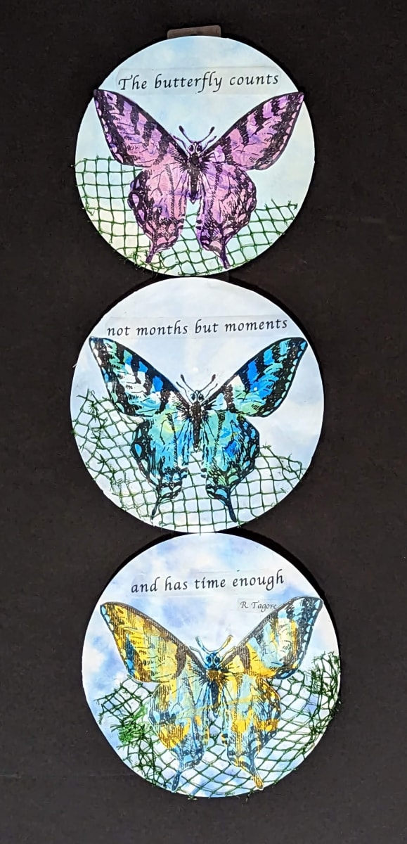 Tagore Butterflies by Megan Lewis 