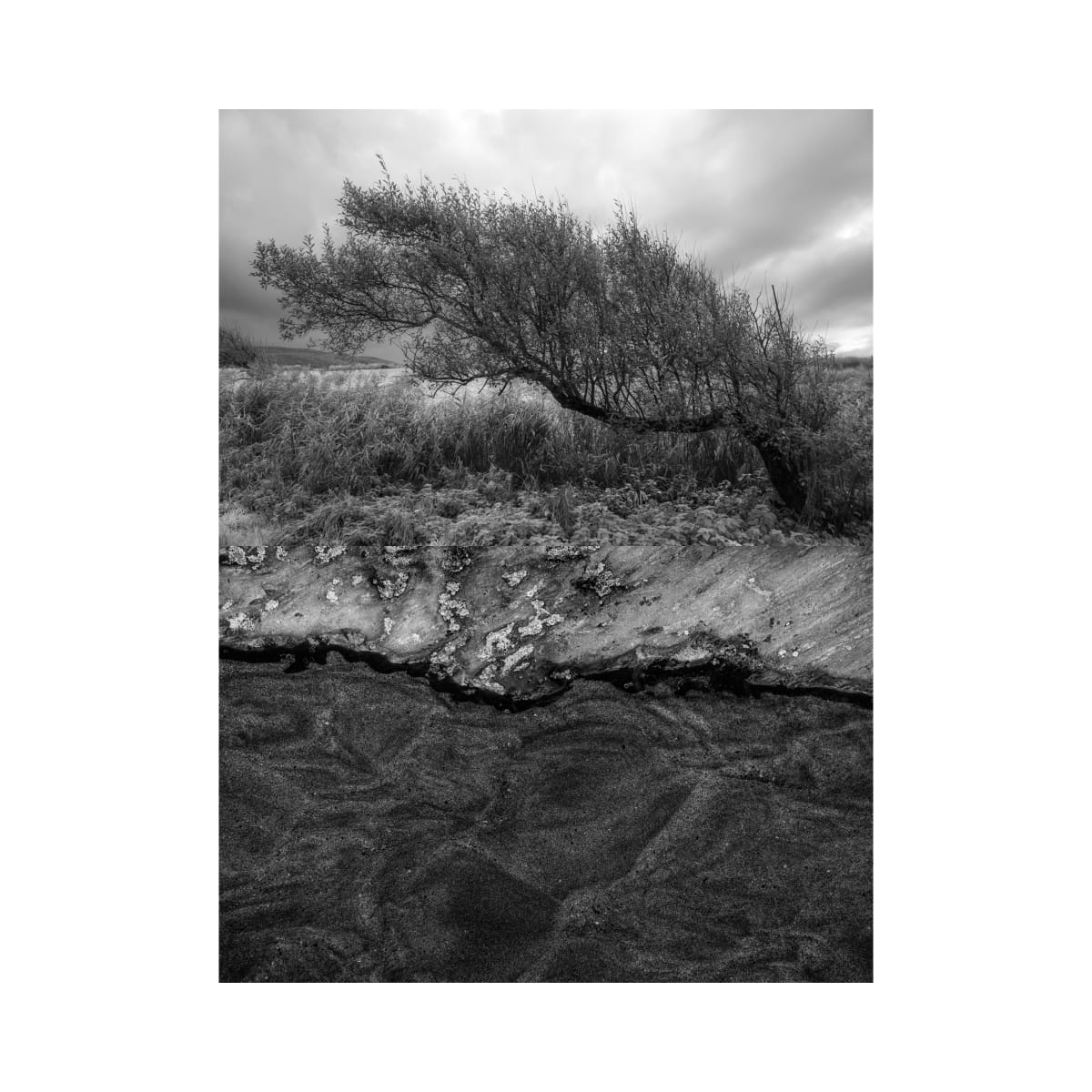 Ireland Diptych 1 by Janet  Matthews 