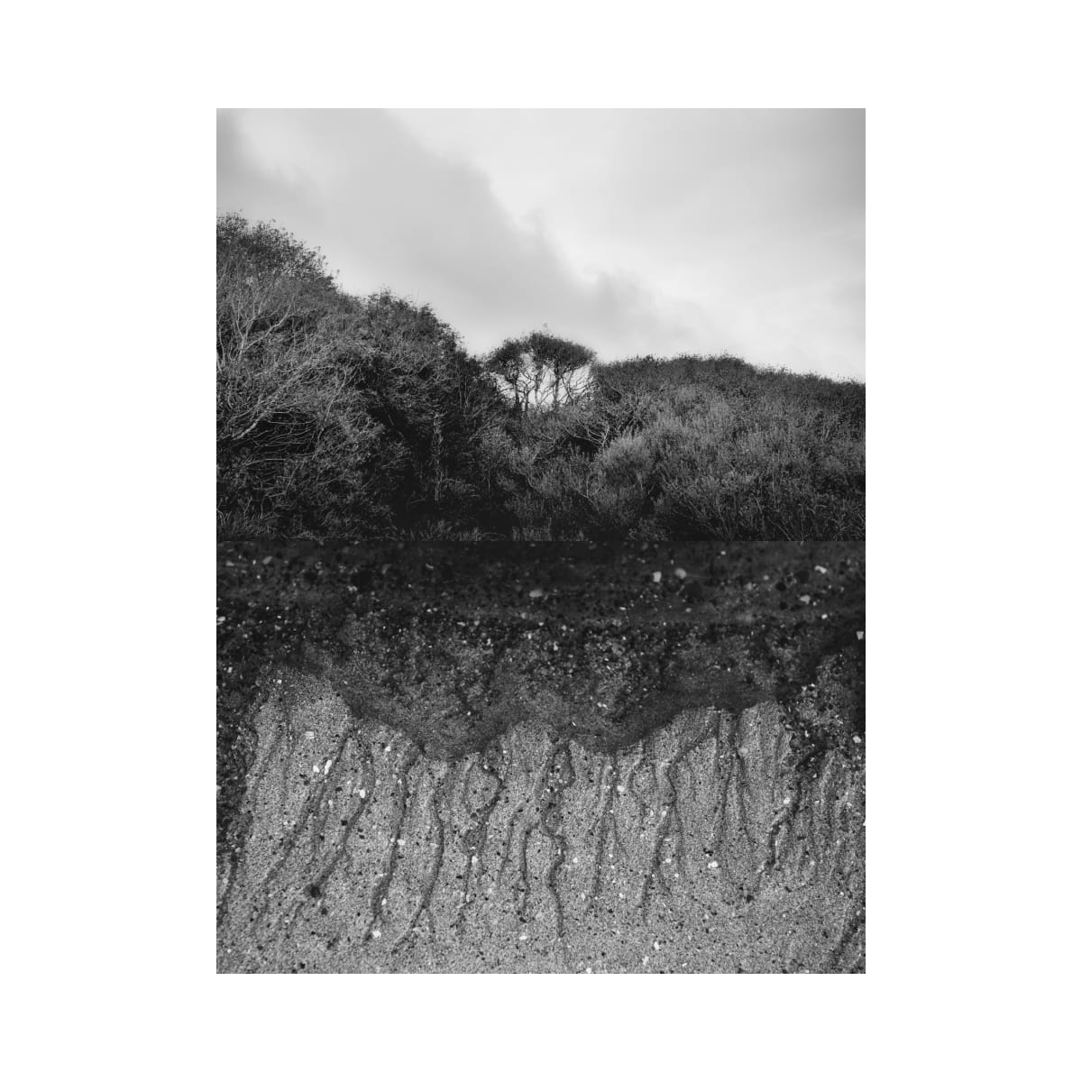 Ireland Diptych 2 by Janet  Matthews 