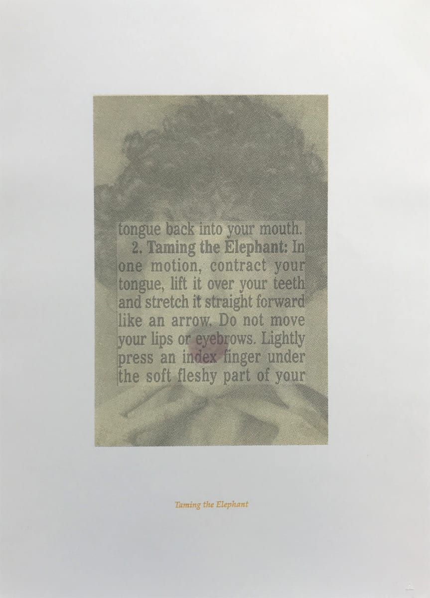 III (Taming the Elephant), from the portfolio A Pack of Lies by Despina Meimaroglou 