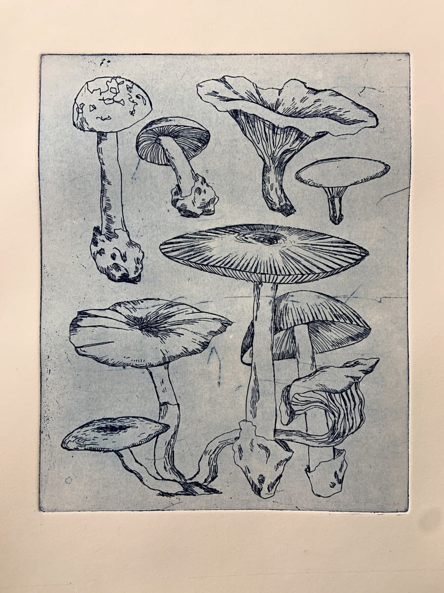 Mushroom Gathering by Rose Jaffe 