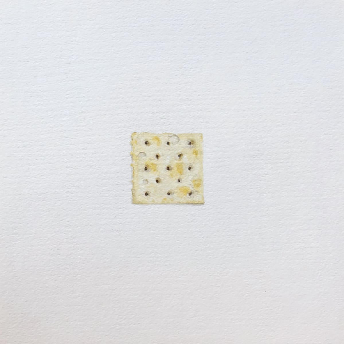 Saltine by Cory Oberndorfer, Image 1.