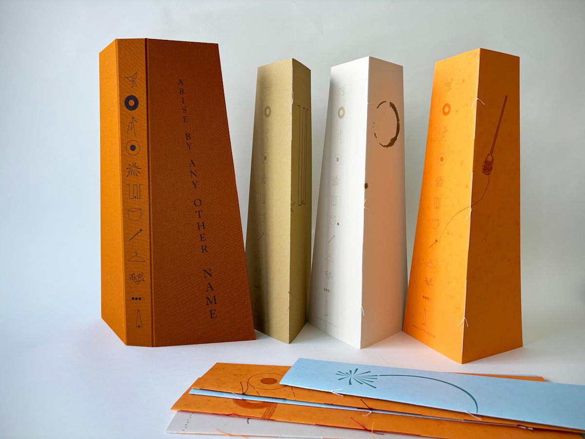 Arise by Any Other Name by Servane Briand, Patrick Fenton and Samuel Mignot 