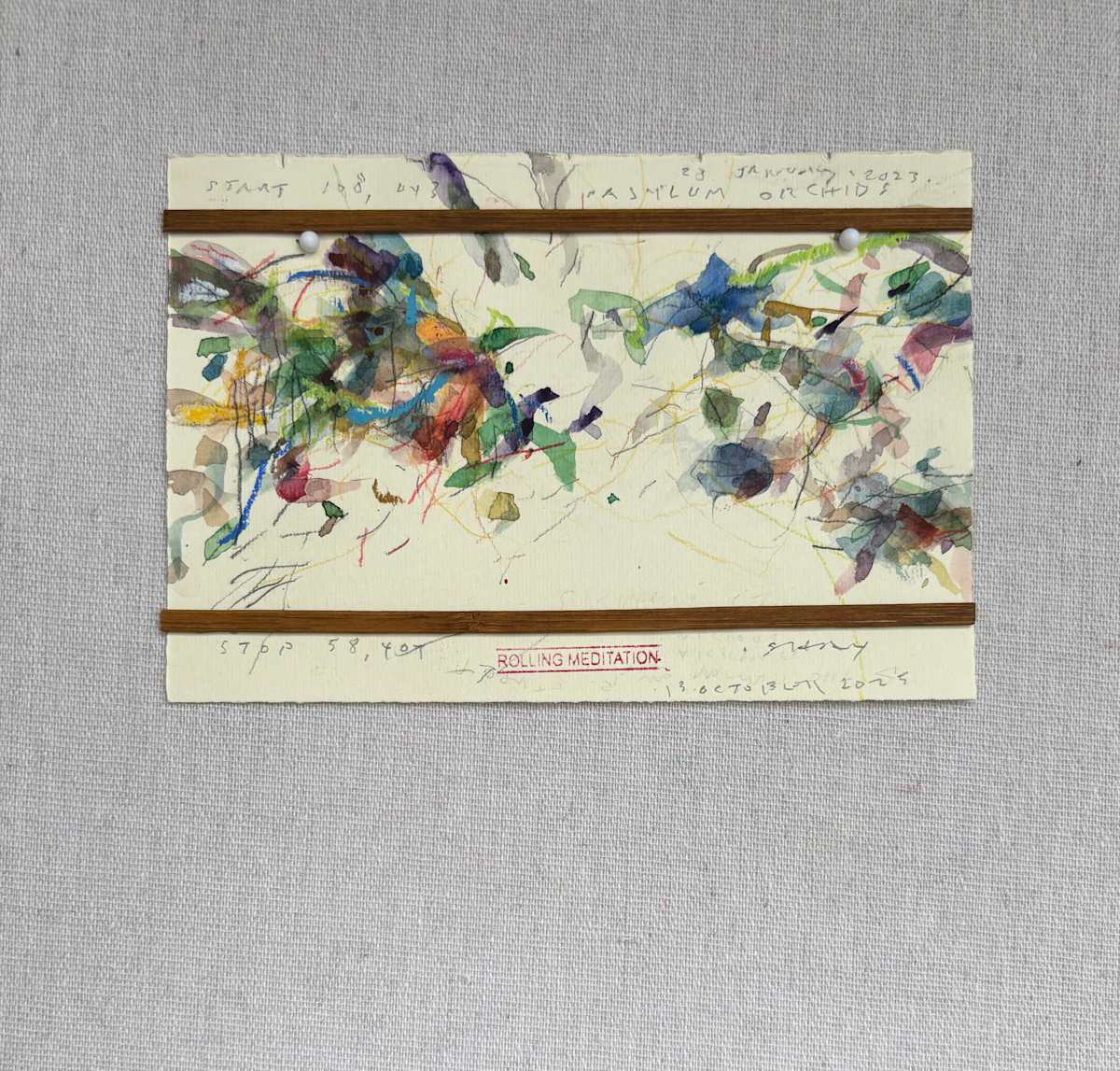 Asylum Orchids by Daniel Shay 