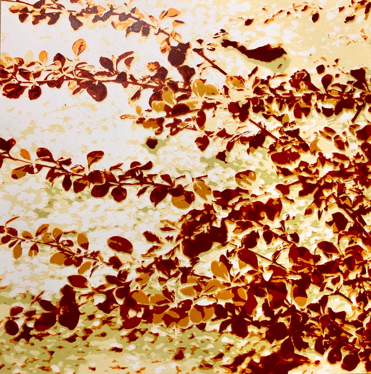 Fall by Sarah Noreen 