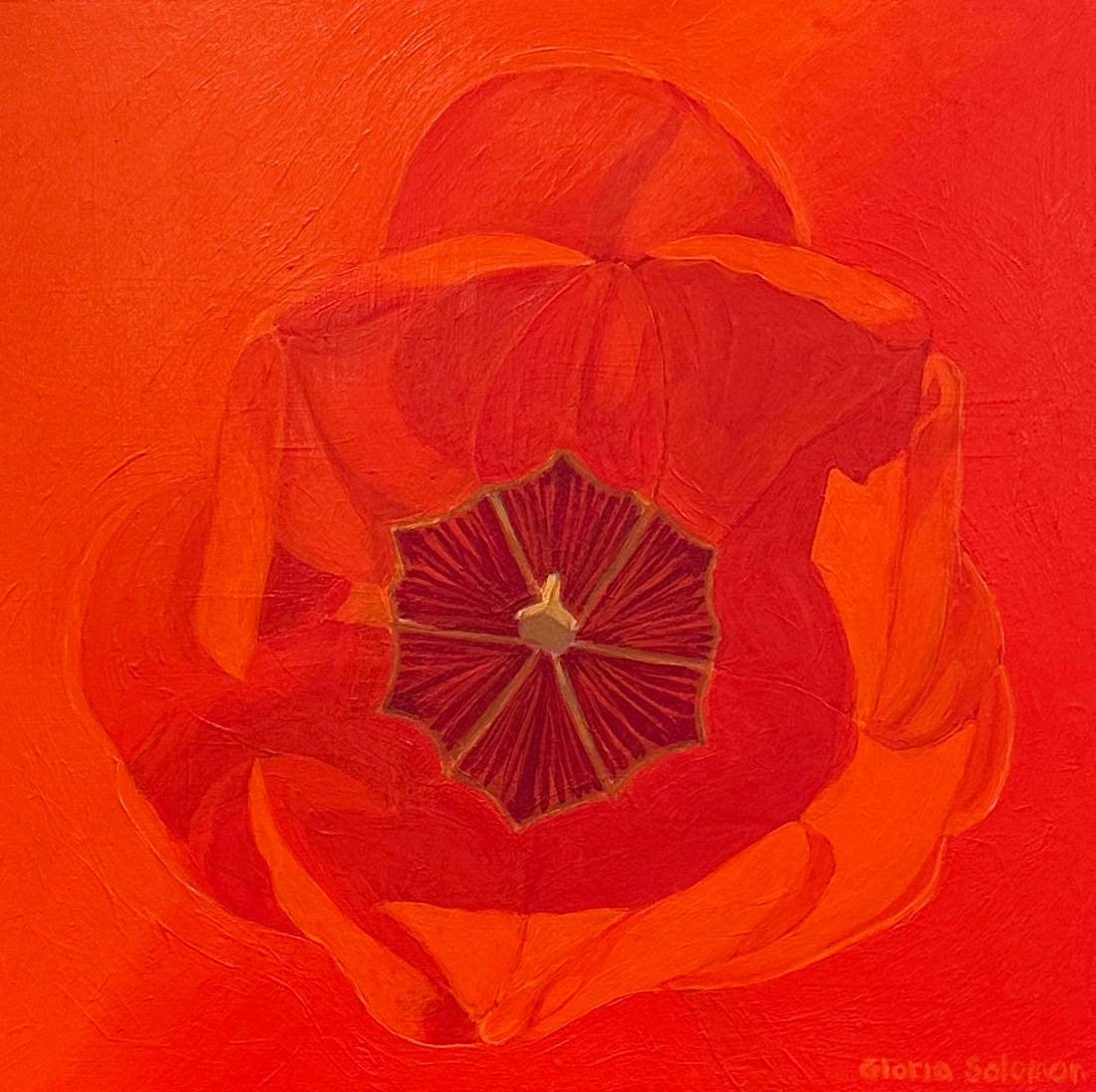 Red Tulip by Gloria Solomon 
