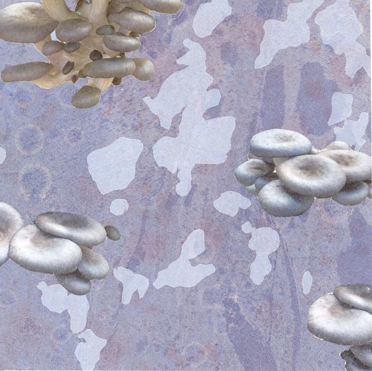 Some Future Life 1 by Tanja Softic 