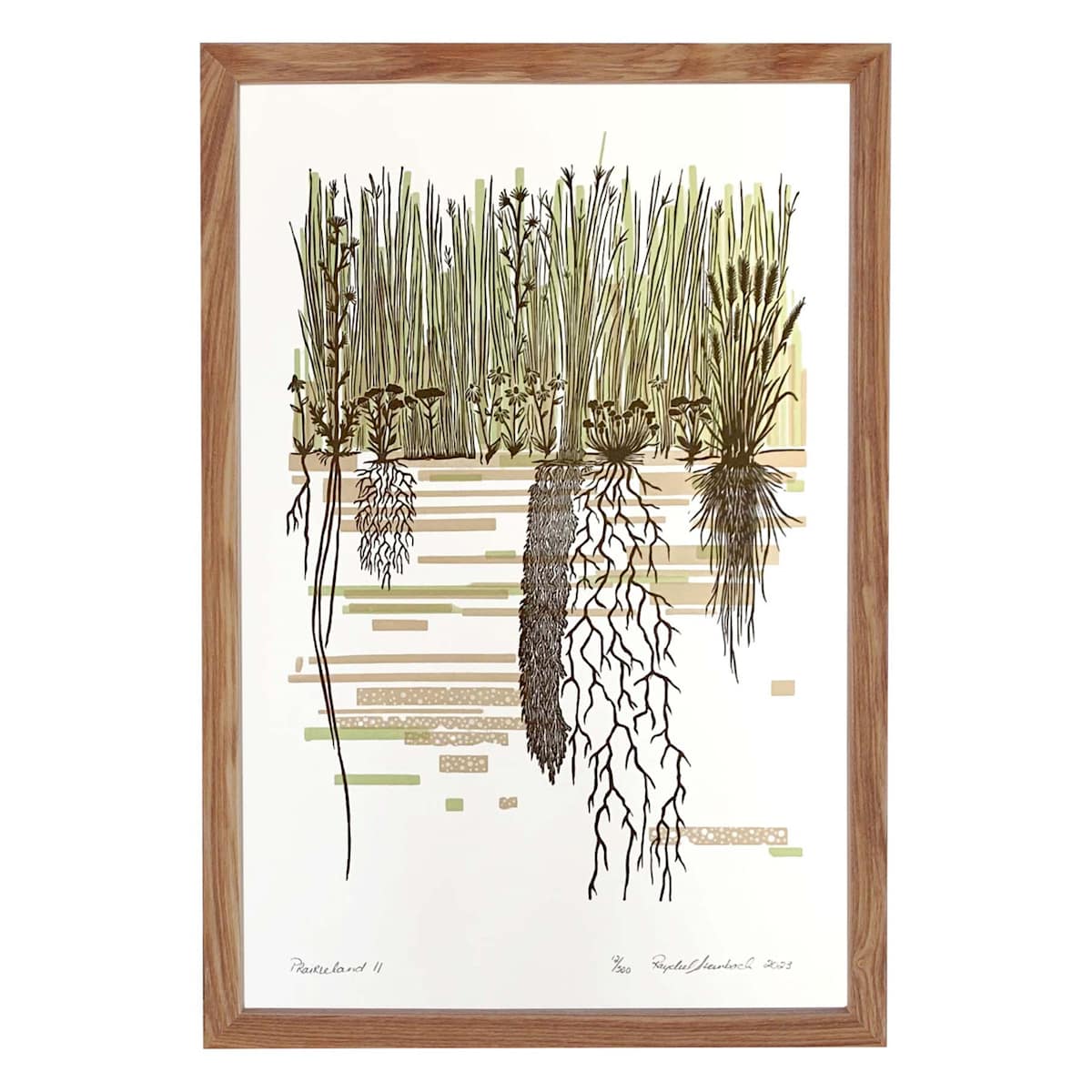 Prairieland II by Raychel Steinbach 