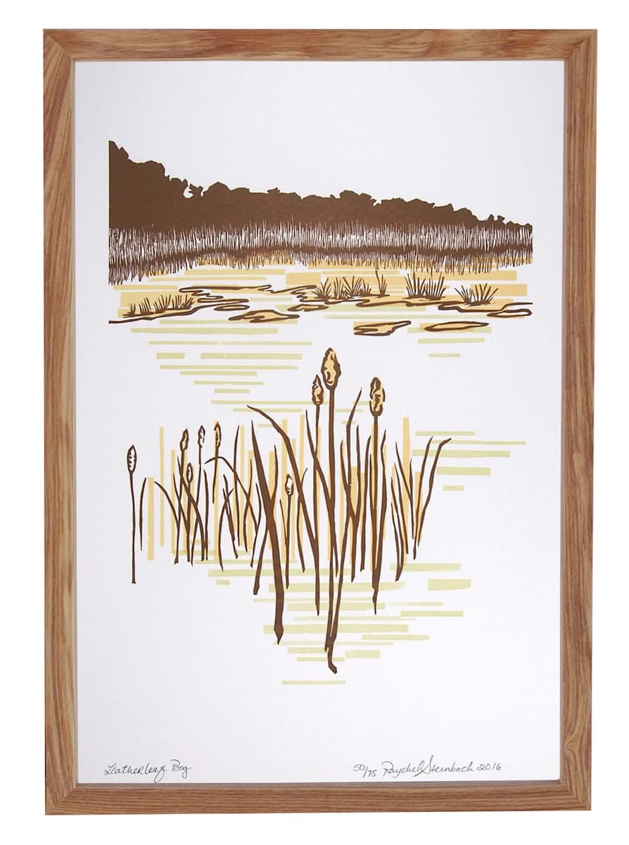 Leatherleaf Bog II by Raychel Steinbach 