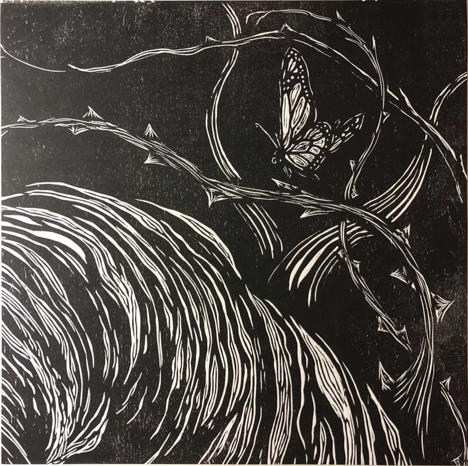 Barren by Steven Muñoz, Image 1.