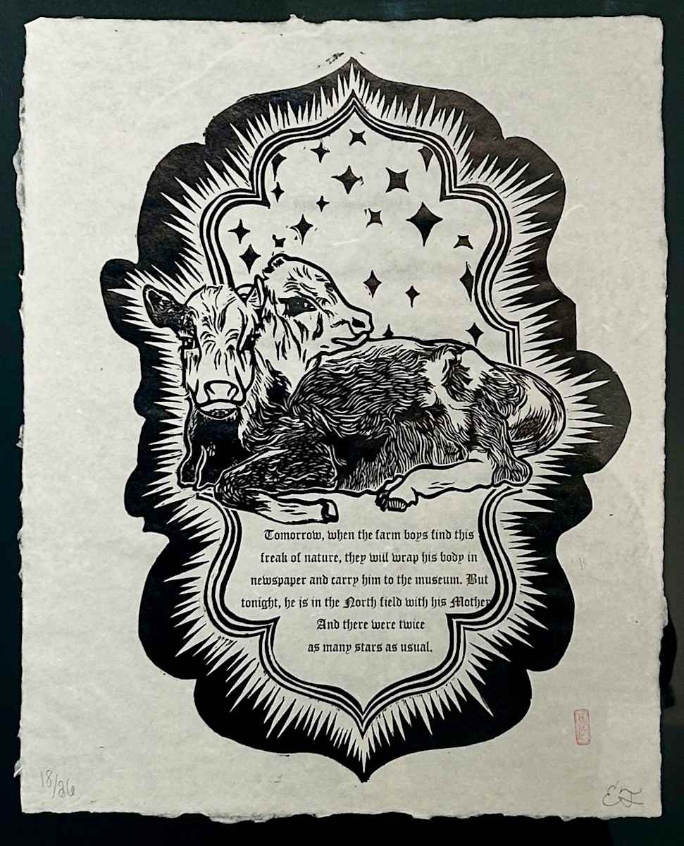 twice as many stars by Emily Tamulewicz 