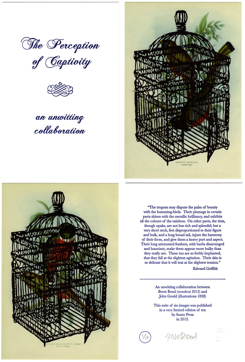 The Perception of Captivity by Brent Bond, Santo Press 