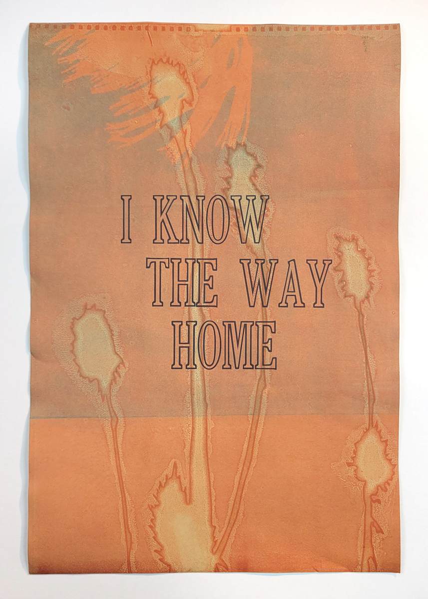 Way Home: A Reminder by Britta Urness, Image 14.